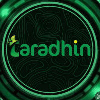 Taradhin Computer Trading L.L.C